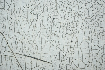Background of white cracked old paint