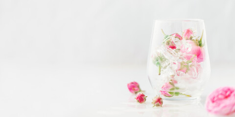 Fototapeta na wymiar Frozen roses in ice cubes in glass on white background.