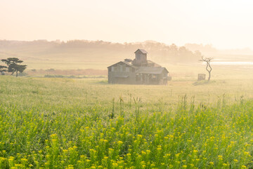 안성목장의 아침