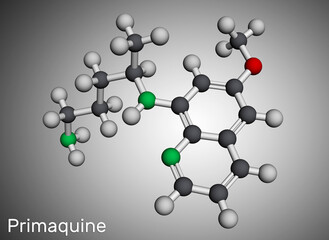 Primaquine molecule. It is aminoquinoline, used for therapy of malaria. Molecular model. 3D rendering