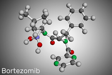 Bortezomib molecule. It is anticancer medication used to treat multiple myeloma and mantle cell lymphoma. Molecular model. 3D rendering