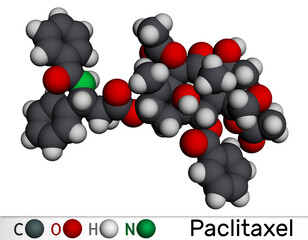 Paclitaxel, PTX molecule. It is taxoid chemotherapeutic agent used  for treatment of  carcinoma of the ovary, breast and lung cancer. Molecular model. 3D rendering