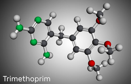 Trimethoprim, TMP molecule. It is antifolate antibiotic  used to treat of infections of urinary, respiratory, gastrointestinal tracts. Molecular model.