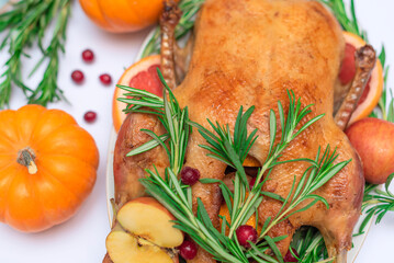 Obraz na płótnie Canvas Christmas or Thanksgiving duck baked for traditional festive dinner with apples, rosemary, grapefruits on white tablecloth decorated with pumpkins and candles. Selective focus
