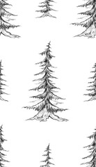 Pattern with pencil sketch fir trees on a white background. Natural texture with pines.