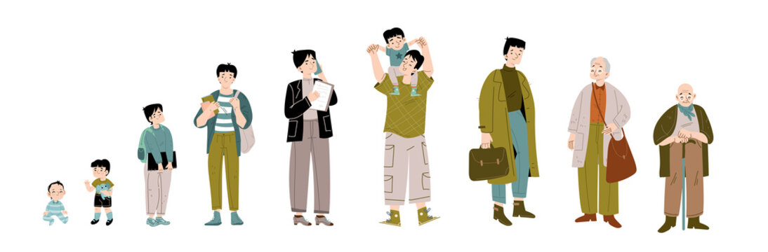Asian man lifespan cycle from infant age to adult and old. Concept of different stages of person life and growth. Vector flat set of baby, toddler boy, teenager, adult, father and elderly character
