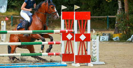 Horse, show jumper, refuses to jump over the obstacle with a moat..