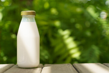 A bottle of fresh milk on a sunny summer farm meadow, grass, nature and plants. Mockup, eco food, dairy products concept.
