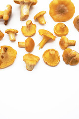 Fresh chanterelle mushrooms on white.