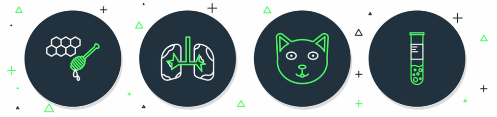 Set line Lungs, Pet, Honeycomb with honey dipper and Test tube and flask icon. Vector