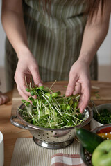 Young shoots of sunflower microgreens in colander. Female hands take sprouts.Salad ingredients.