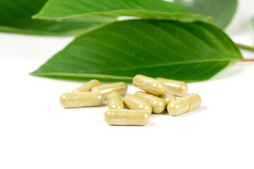Mitragyna Speciosa Korth or kratom capsules with green leaf isolated on white background. 