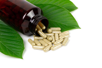 Mitragyna Speciosa Korth or kratom capsules in bottle wtih green leaf isolated on white background. 