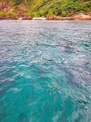 A crystal clear water with beautiful fishes swimming near the island. Copy space.