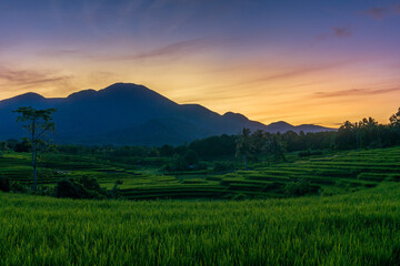 panorama of the natural beauty of asia. view of the rice terraces on the mountain range