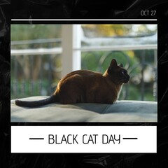 Image of black cat day over photo with cat
