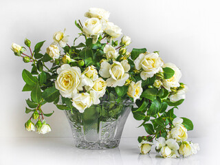 chic wedding bouquet of white garden roses for the bride