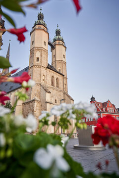 Marktkirche Im Frühling