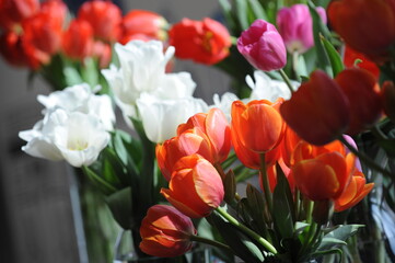 Almaty, Kazakhstan - 03.10.2016 : Fresh cut flowers in glass vases on the table.