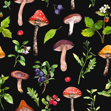 Mushroom seamless pattern. Forest mushrooms, berries, grass and wild flowers. Botanical plants, fungus of woodland. Natural motif repeated background on black. Watercolor