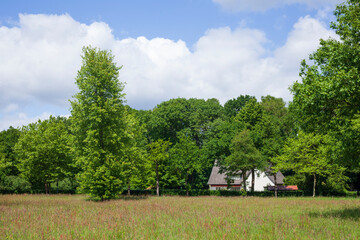 Wohngebäude, Einfamilienhaus, Bad Zeischenahn, Niedersachsen, Deutschland