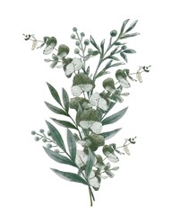 Fototapeta na wymiar Rustic wedding greenery bouquet. Eucalyptus brances, Watercolor style. Isolated on white background