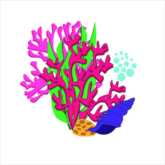 Seashell on the background of algae and corals. Vector ocean world. Aquatic ecosystem. Illustration of underwater life. Aquarium underwater marine life nature, icons, isolated vector illustrations. Us