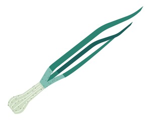 Young green onion, vegetable organic food vector