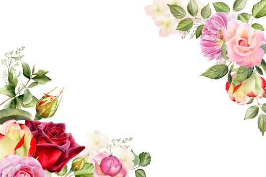 Watercolor rose flower border. Floral frame. Botanical illustration isolated on white background. Red, yellow, blush, pink garden rose set. 
