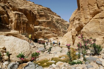 Dana Biosphere Reserve in Jordan. Amazing scenery in Wadi Ghuweir Canyon with river and blooming oleander bushes. Silhouette of hiking people on trail.  - obrazy, fototapety, plakaty