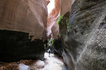 Dana Biosphere Reserve in Jordan. Amazing rocks in Wadi Ghuweir Canyon. Silhouette of hiking person on trail.  - obrazy, fototapety, plakaty
