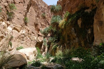 Dana Biosphere Reserve in Jordan. Amazing rocks and 