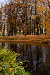 Autumn landscape of the city park with a river. Autumn in the city park. Yellow trees on the riverbank