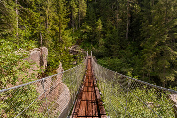 suspension bridge in the forest of bellamonte in trentino alto adige