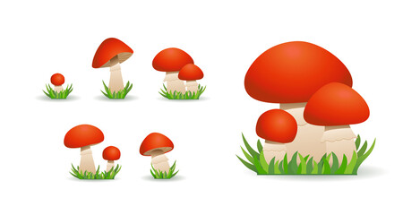 Edible mushroom boletus. Collection of Porcini mushrooms or borovik.