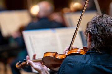 a violinist plays at a concert in the Philharmonic