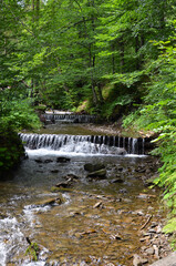  Summer forest landscape with mountain river and small cascading waterfalls. Summer trip to the Carpathian mountains , travelling to the mountains concept.