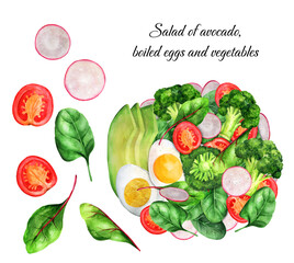 Vegetarian salad with avocado, egg and vegetables