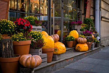 Scenery of pumpkins and flowers for Halloween on the streets of the city. The street is decorated...