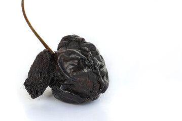 One dried cherry on white background with a small limb
