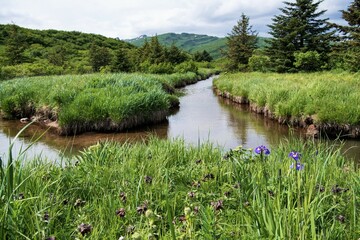 Flussandschaft  auf Katmai, Alaska