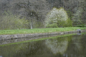 Tree reflection in small lake Schwarzweiher in Palatinate landscape (horizontal), Enkenbach-Alsenborn, RLP, Germany