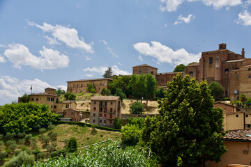 Fototapeta na wymiar Panoramic view of Siena
