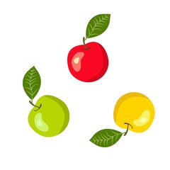 Vecotr illustration of bunch of colorful apples red green yellow on stem with leaf. Healthy plant based diet vitamins fall harvest Thanksgiving concept