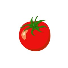 Vector illustration of red ripe tomato. Healthy plant base diet vegetables Italian cuisine concept