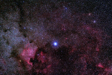 新しい星が誕生する赤い散光星雲の中には北アメリカ大陸の形に似たものもあります
Some of the red diffused nebulae where new stars are born resemble the shape of the North American continent.