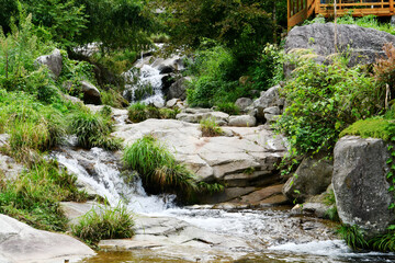 Fototapeta na wymiar rocks in streams in the valley