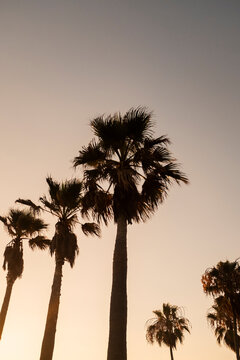 LA Travel
