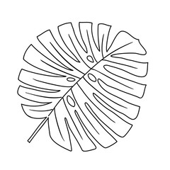 Tropical leaf vector illustration on white background