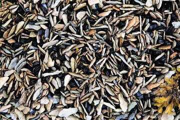  Eine interessante  Ansammlung von Steinen am Strand - die Anordnung und Ausrichtung erfolgt durch die Kraft des Wassers